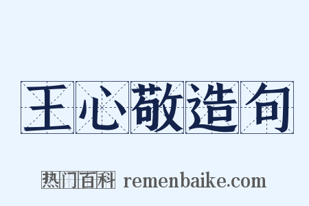 王心敬造句是什么意思的图片